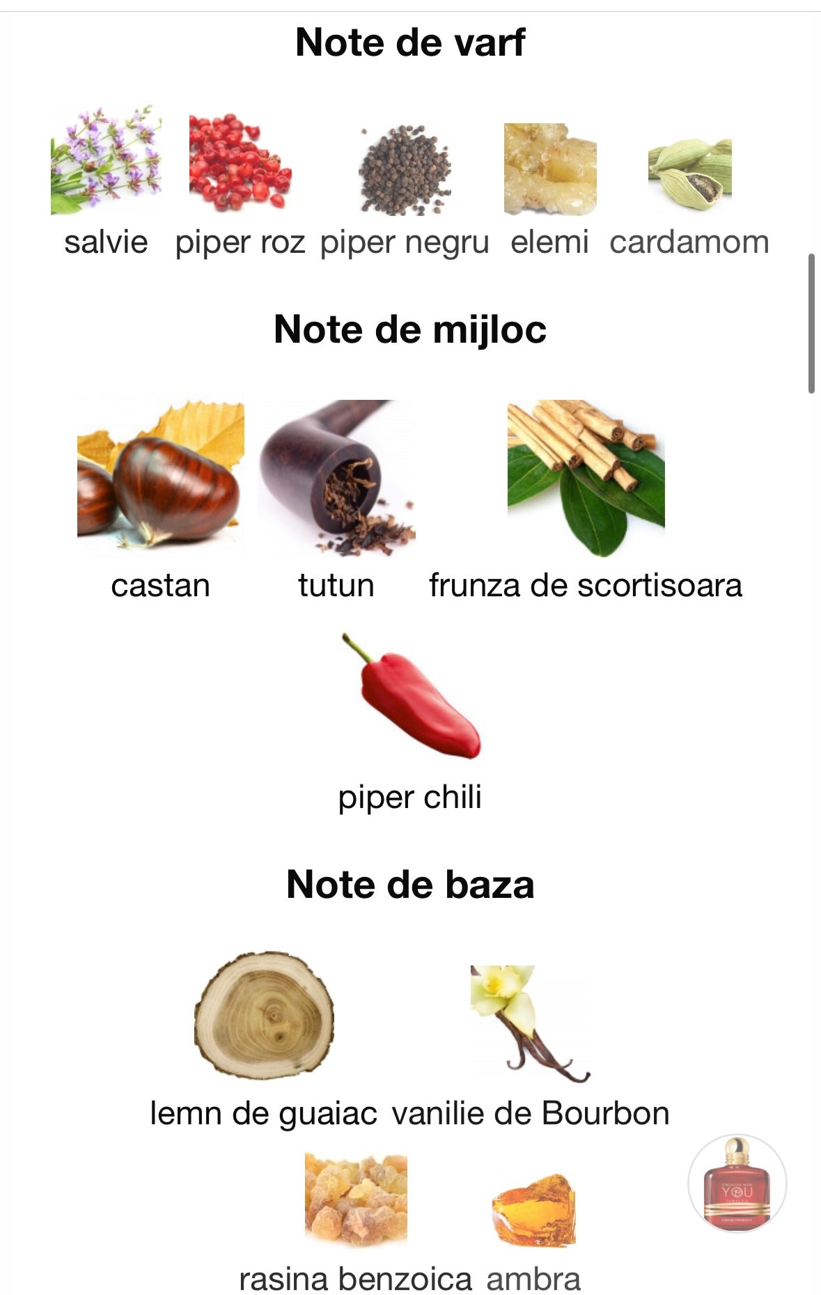 Inspirat de Stronger With You Tobacco ARMANI