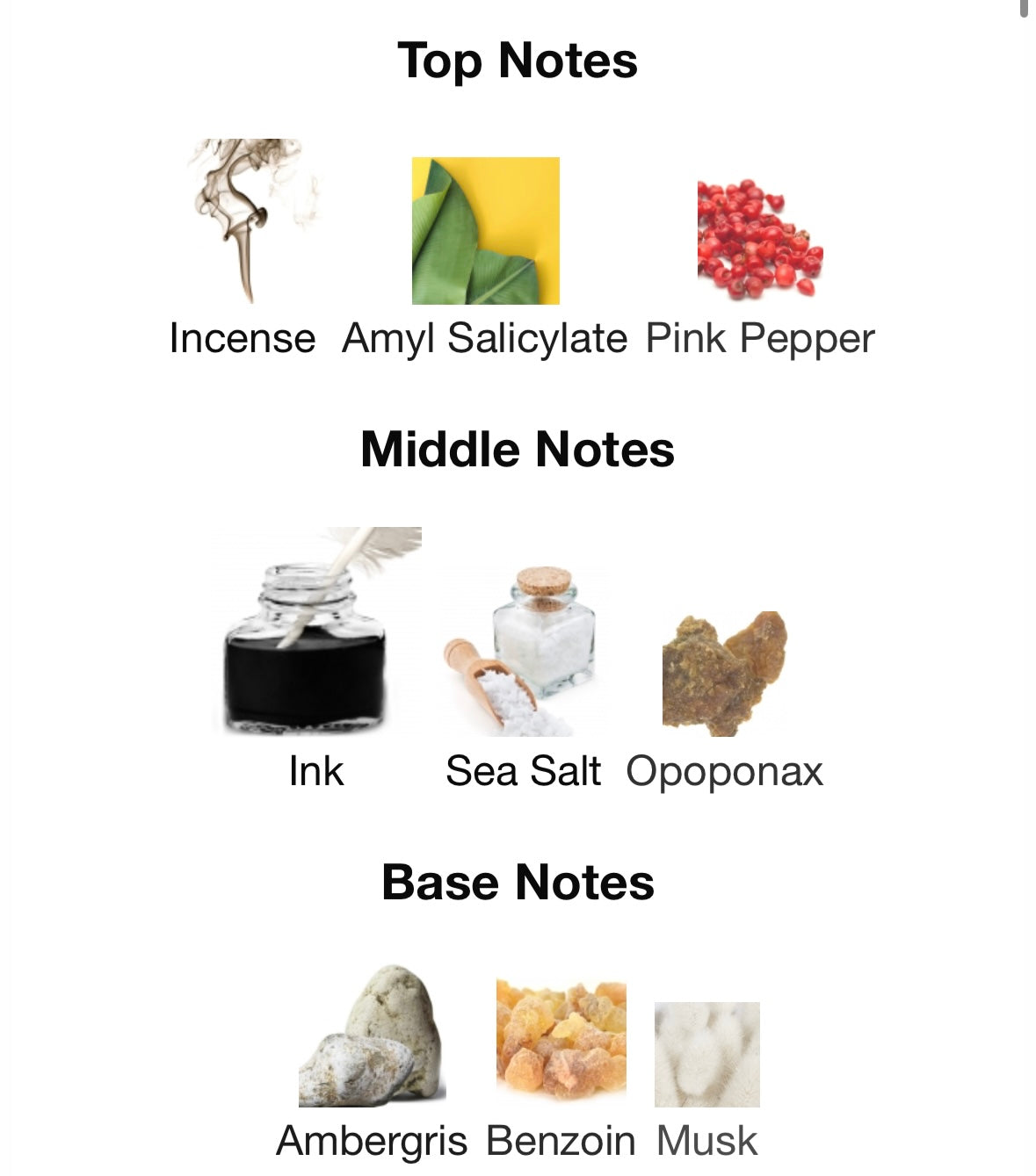 Inspirat de Zoologist Squid