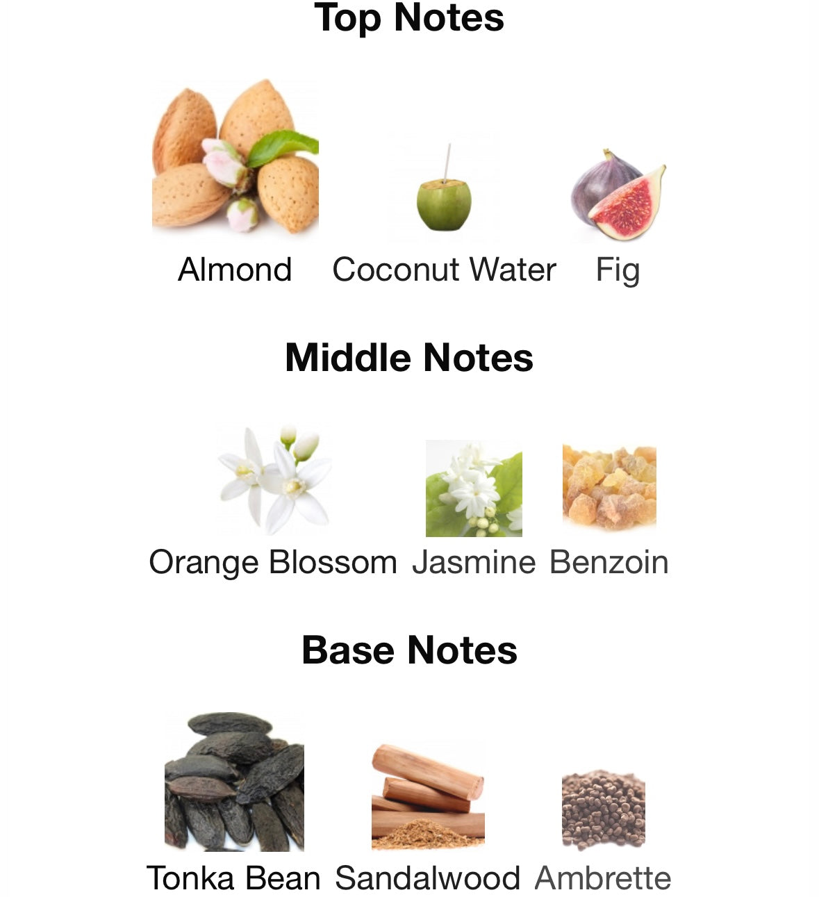 Inspirat de Tonkatonic Morph